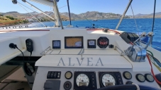 Leopard 40